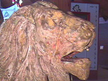 Image: Looff Lion